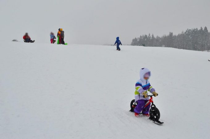 徳良湖スノーランド-雪山エリア-ストライダー