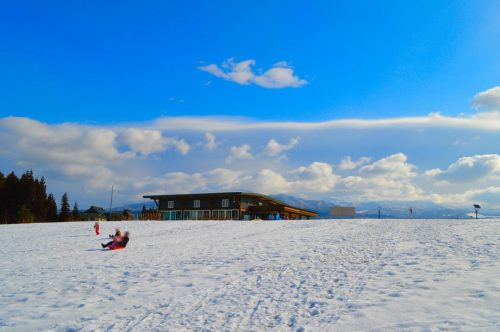 みはらしの丘はらっぱ館-そりすべり9