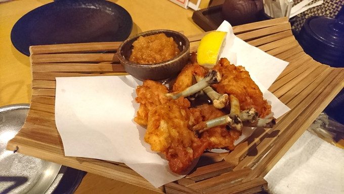 佐のちゃん-コース-チューリップ