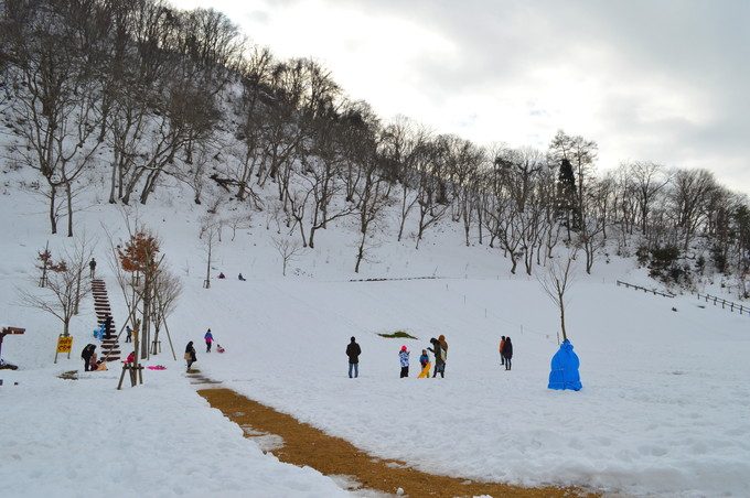 あそびあランド-冬-そりすべり-すべり場
