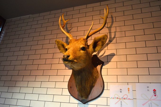 北海道レストラン-別邸嶋北店-店内の様子-入り口の鹿のはく製