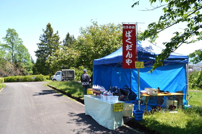 寒河江つつじまつり-なつかしのばくだんや1