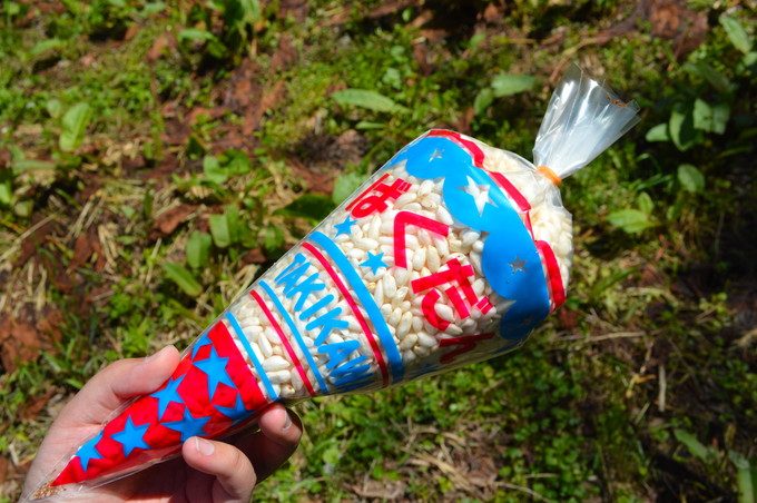 寒河江つつじまつり-なつかしのばくだんや2