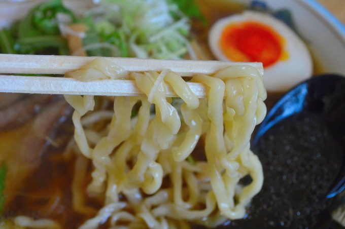 寅真らーめん-メニュー-寅真特製しょうゆラーメン-麺