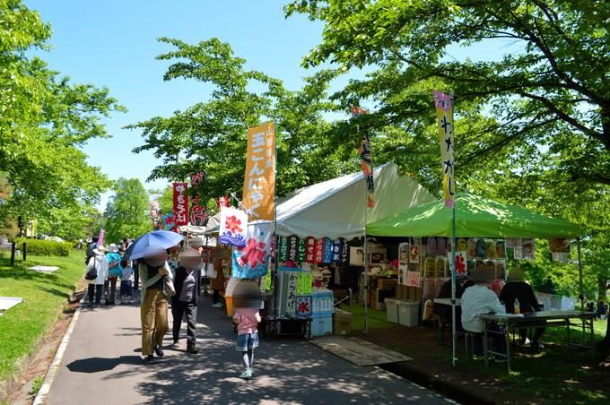 体験レポ 寒河江つつじまつり19 過去の様子や駐車場情報などを紹介 やまがたぐらし