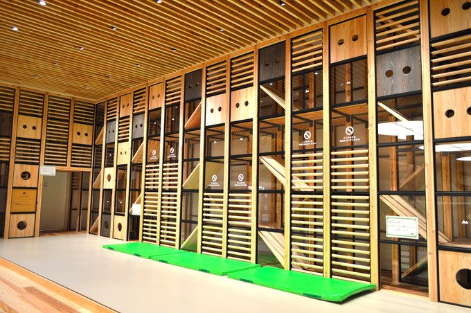 もっくる-ぼうけんエリア-全景