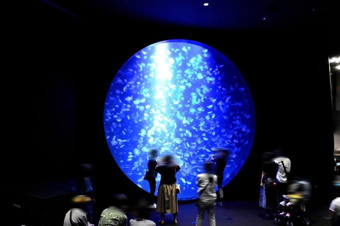 加茂水族館-クラネタリウム0