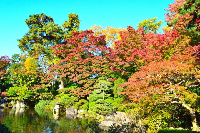 もみじ公園-紅葉の様子3