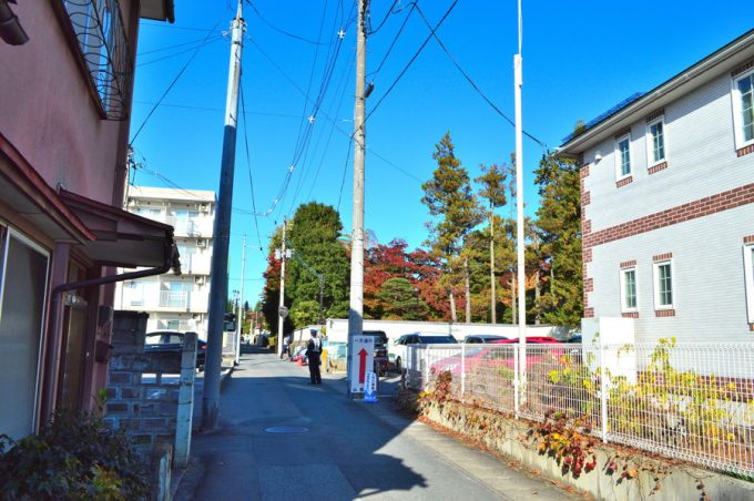 もみじ公園-正面の通り