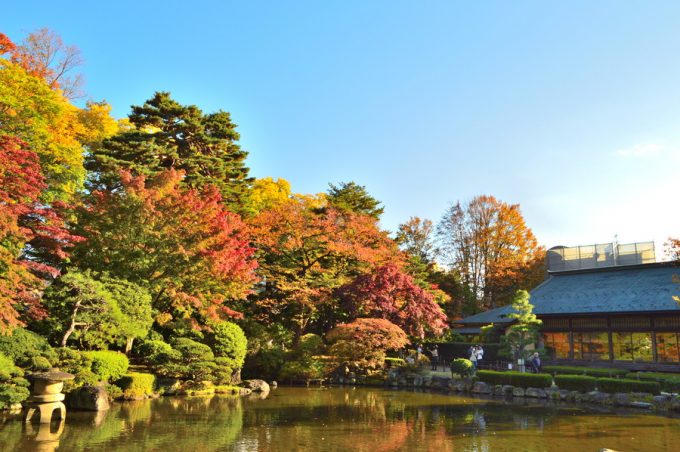 体験レポ もみじ公園 山形市東原町 紅葉の名所で日本庭園を散策 やまがたぐらし