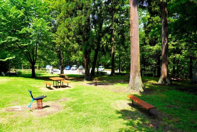 西蔵王公園-森の遊び場-遊具-木馬