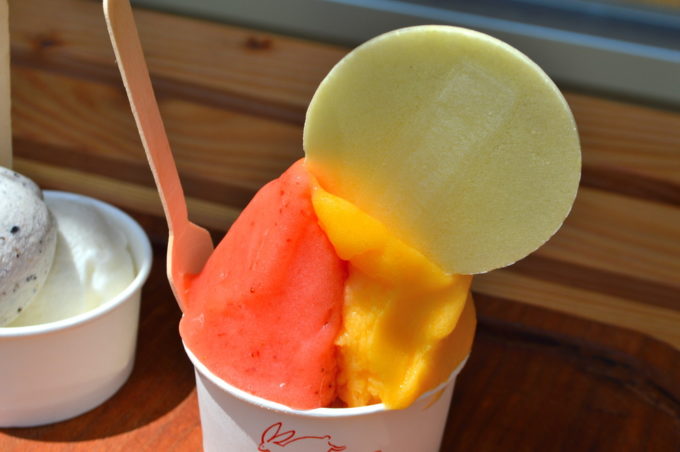 ジェラート-エン-食レポ4