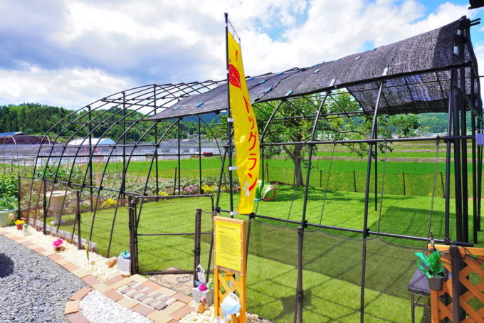 そば処古民家-ドッグラン1