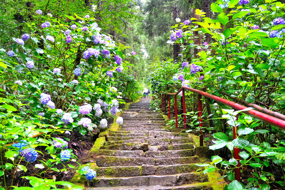 出塩文殊堂-あじさい寺-参道11