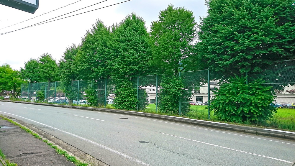 あさひ食堂-お店の場所2