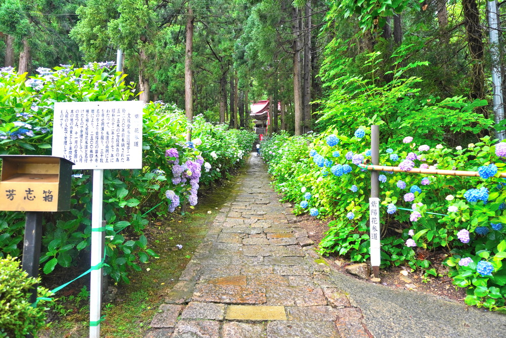 出塩文殊堂-あじさい寺-文殊堂0