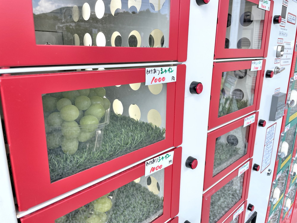 王将カフェ-果物自販機③