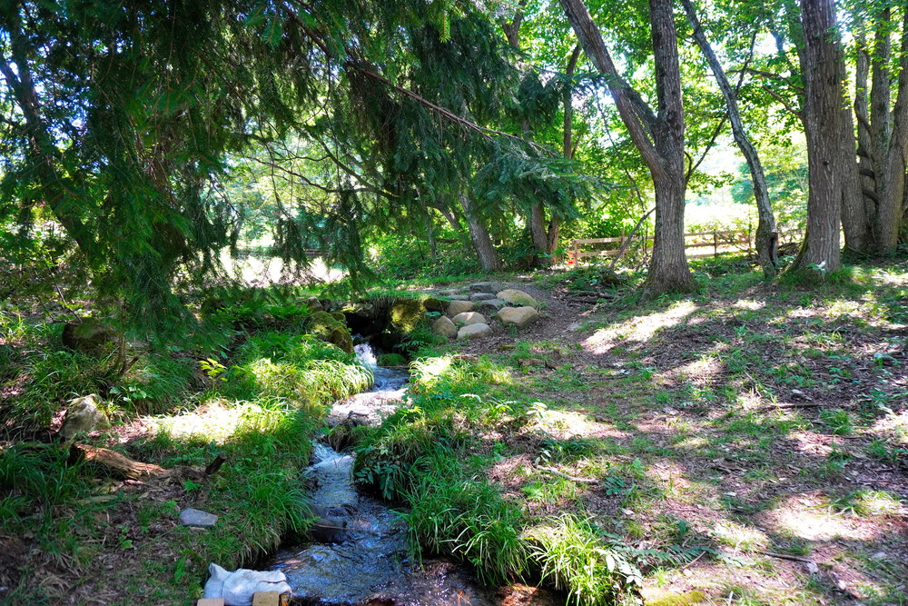 八宝堂-トレッキングコース2