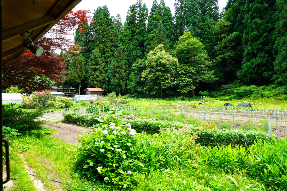 353KUROGAMO-店内から見た景色