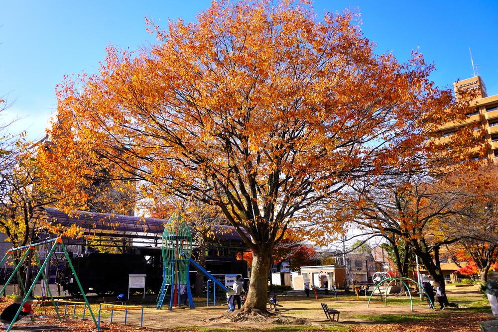 山形第二公園-遊具