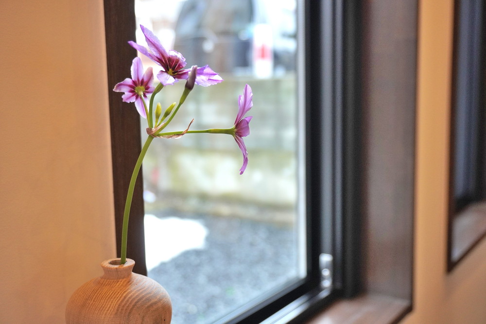 花とお茶鴇色-卓上の花