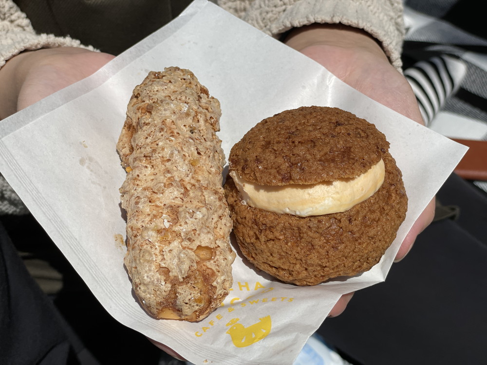 いではこっこ-食レポ4