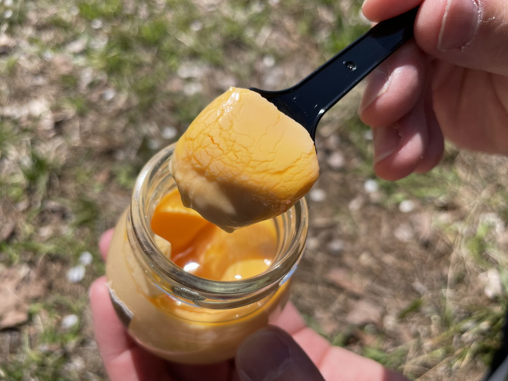 いではこっこ-食レポ6