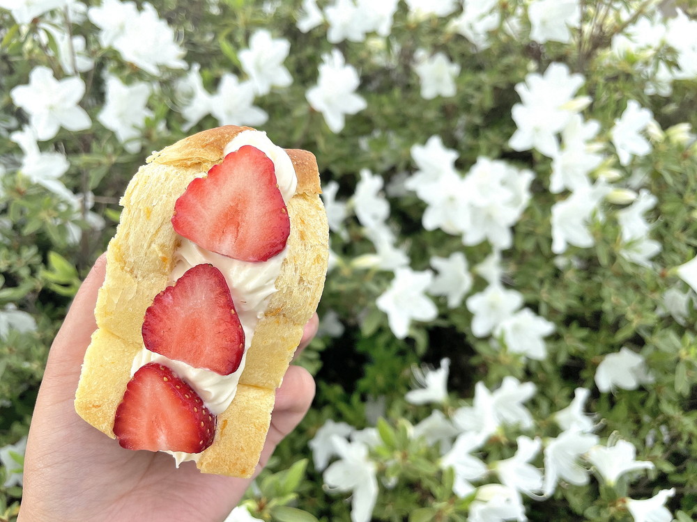 パイル‐パイルサンド