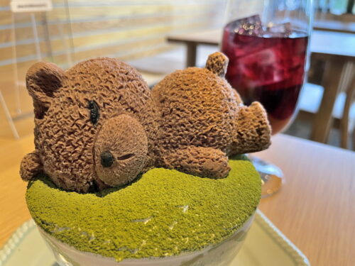 harappa-おひるね①