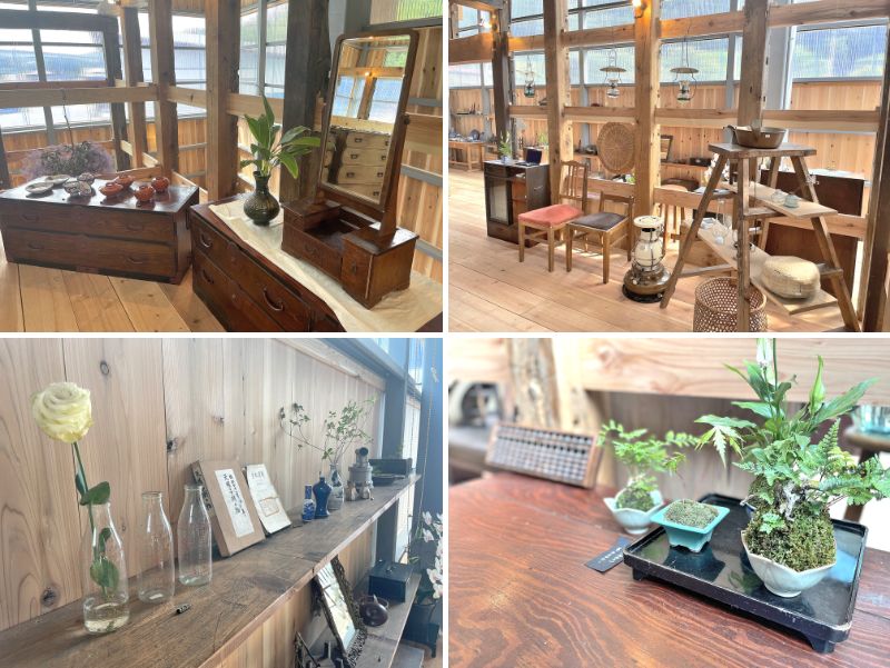 発酵素材-商品まとめ②