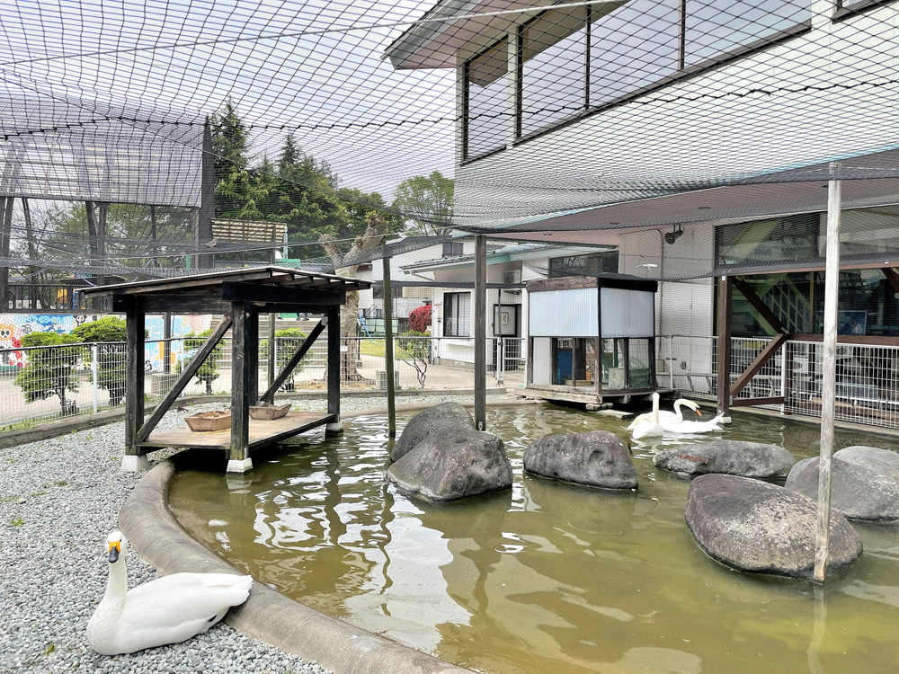 河北町児童動物園-池エリア