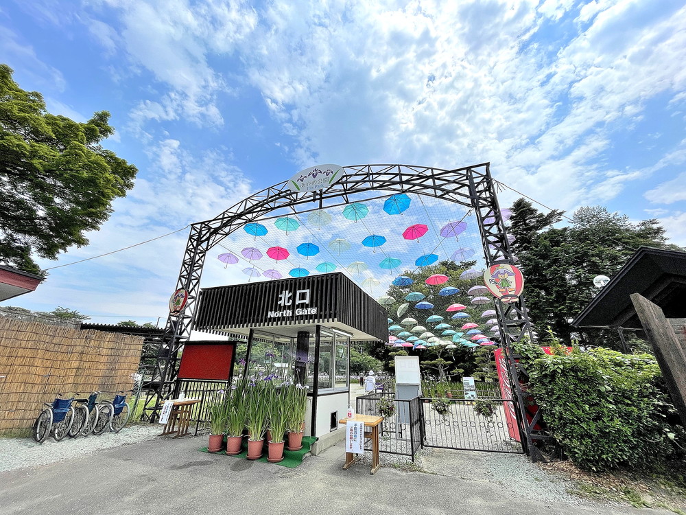 あやめ公園-北口①