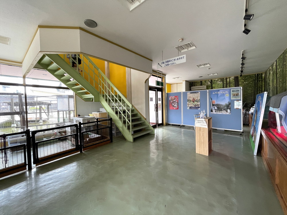 河北町児童動物園-剥製動物観1