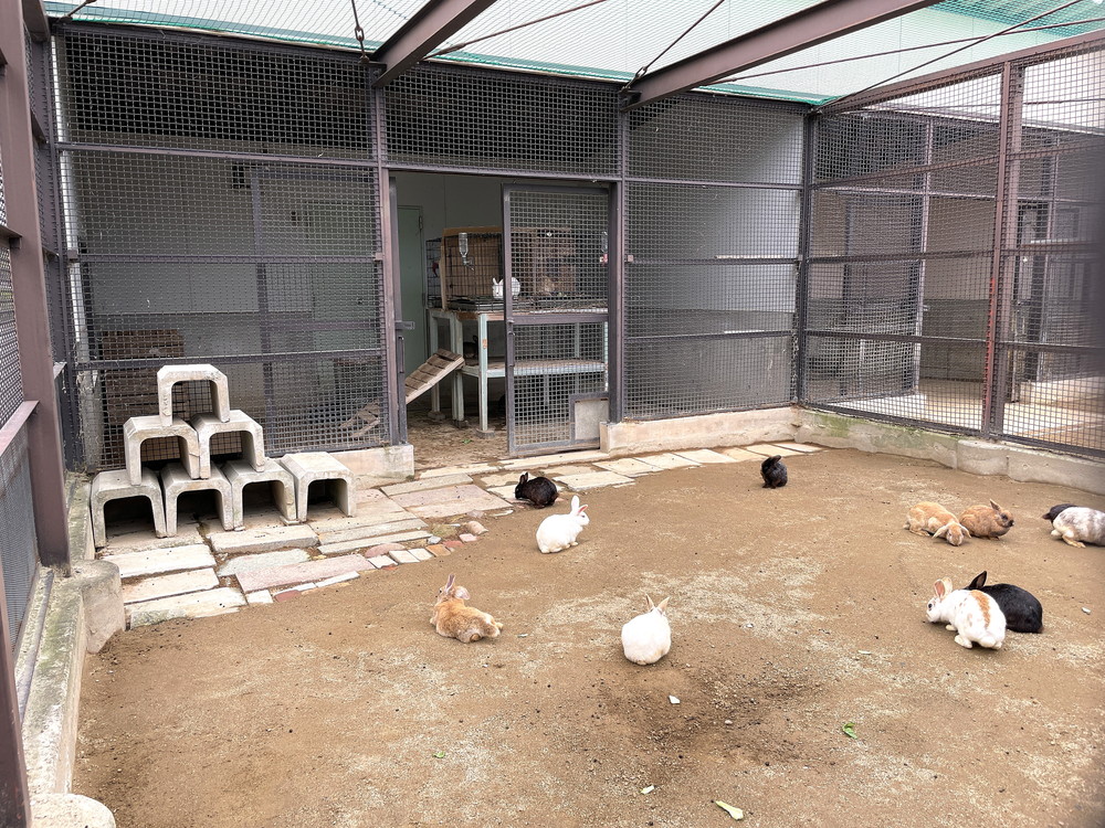 河北町児童動物園-ウサギ檻周辺1