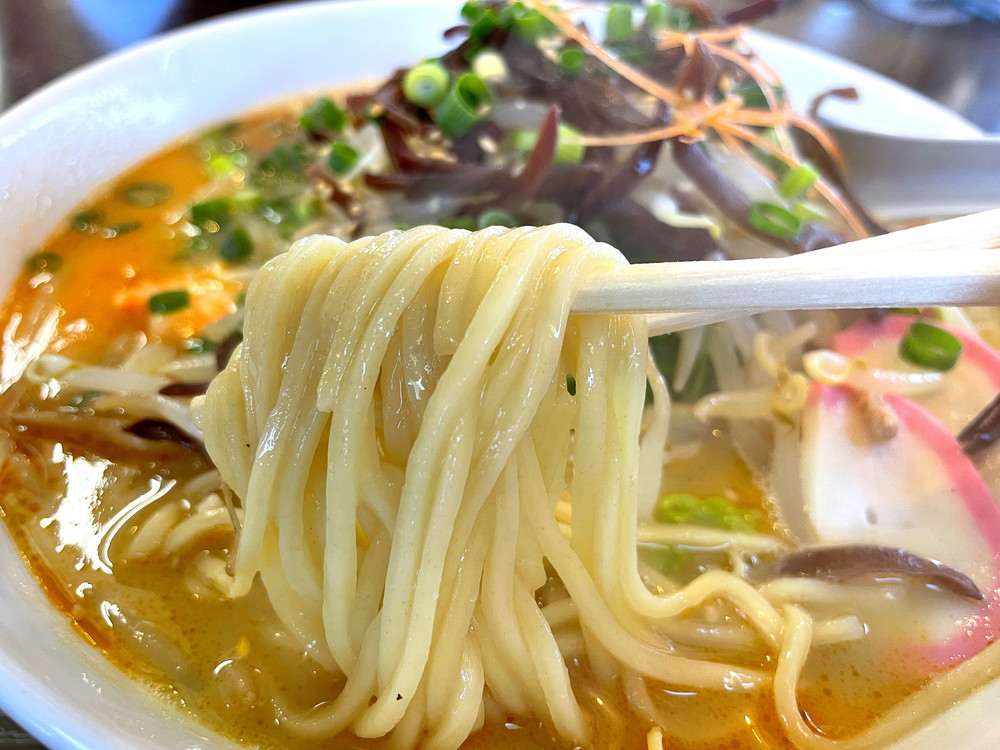 とんこつのひろ（うま馬分店-店食レポ3