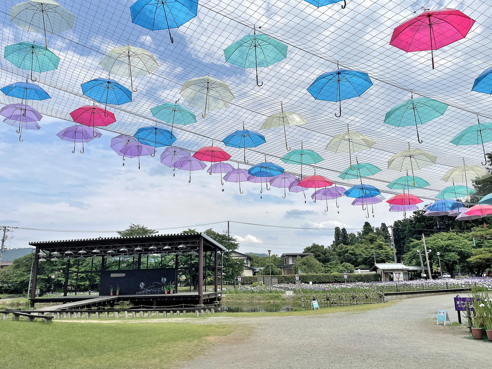 あやめ公園-北口④