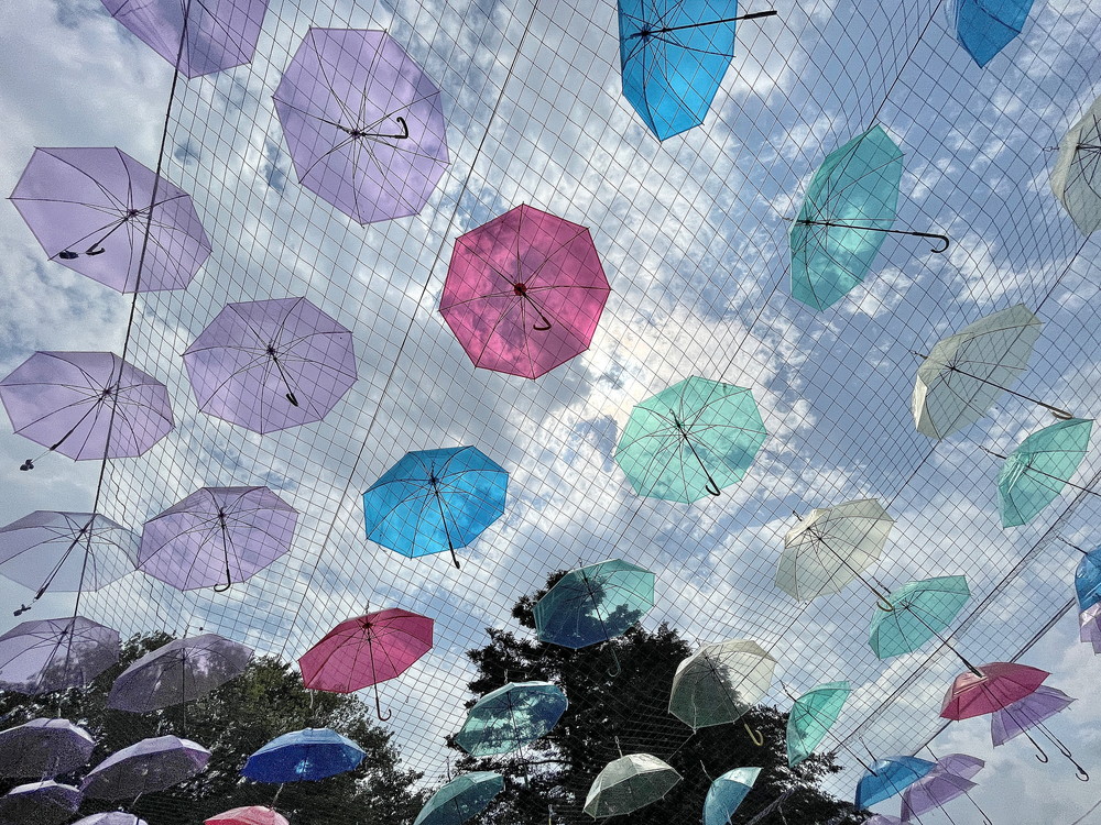 あやめ公園-北口⑤