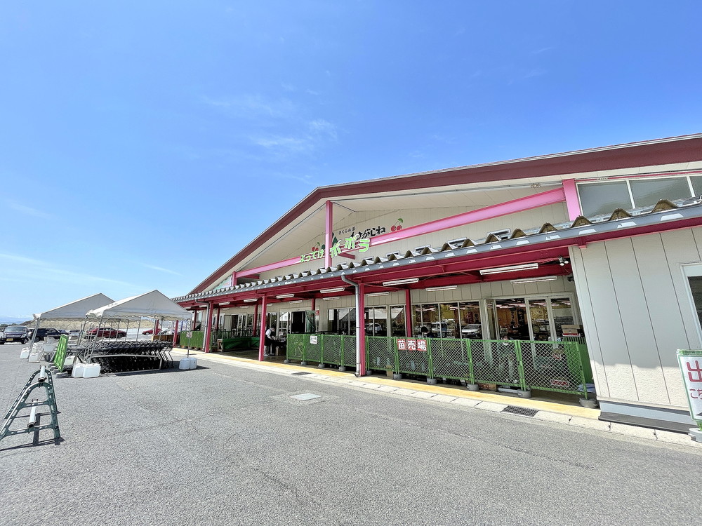 果物陽日-よってけポポラー外観