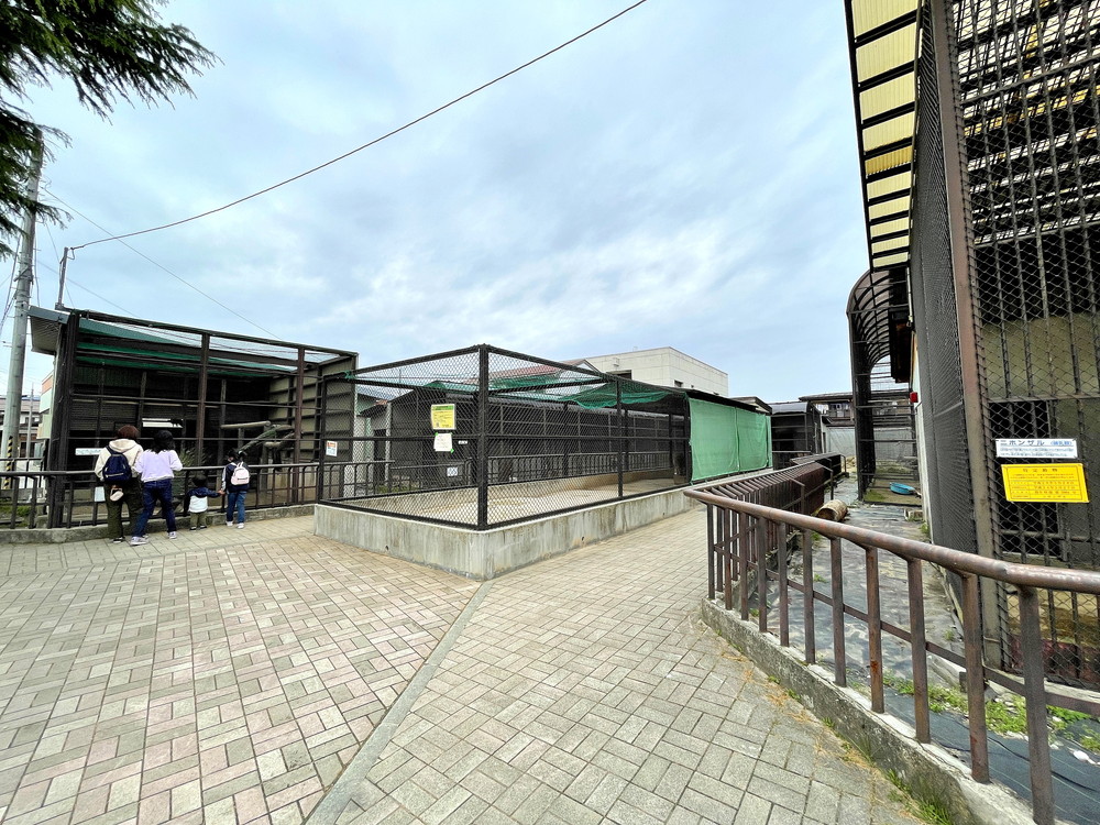 河北町児童動物園-孔雀檻周辺