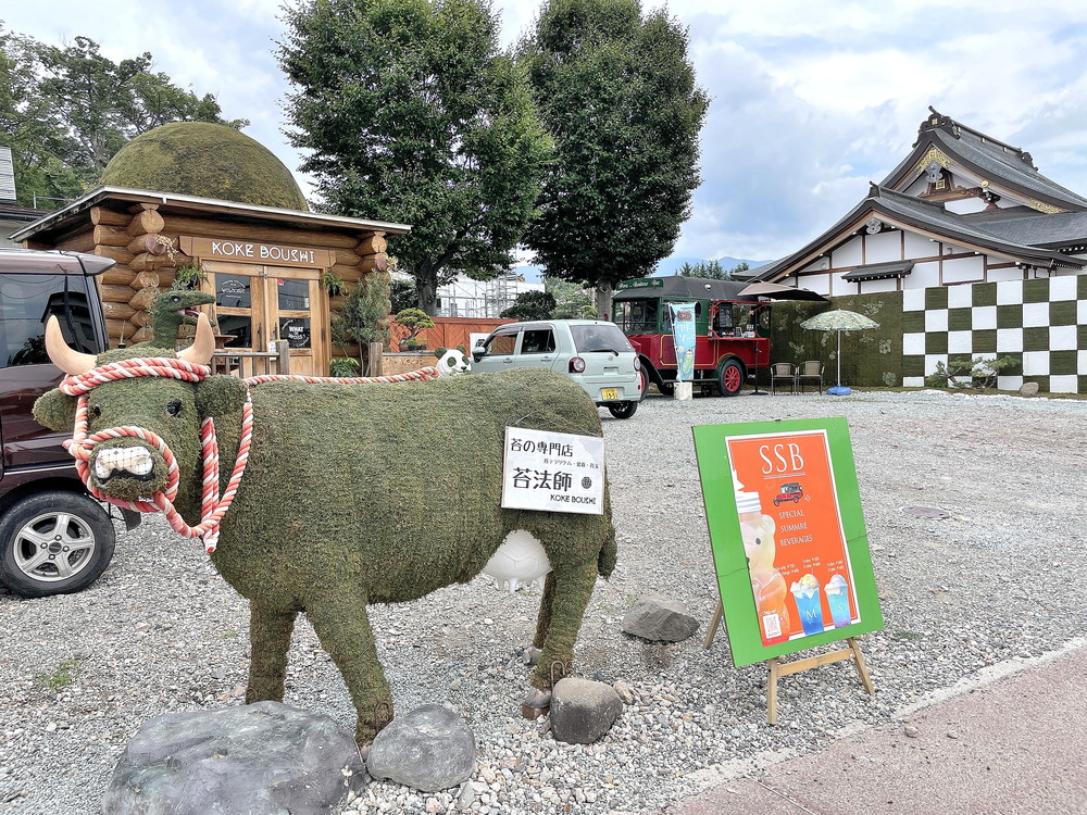 SSB-苔法師の敷地内