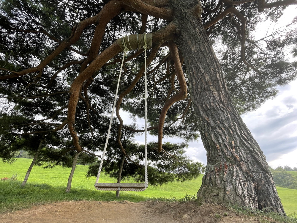 天童高原ファミリーランド-ブランコ2