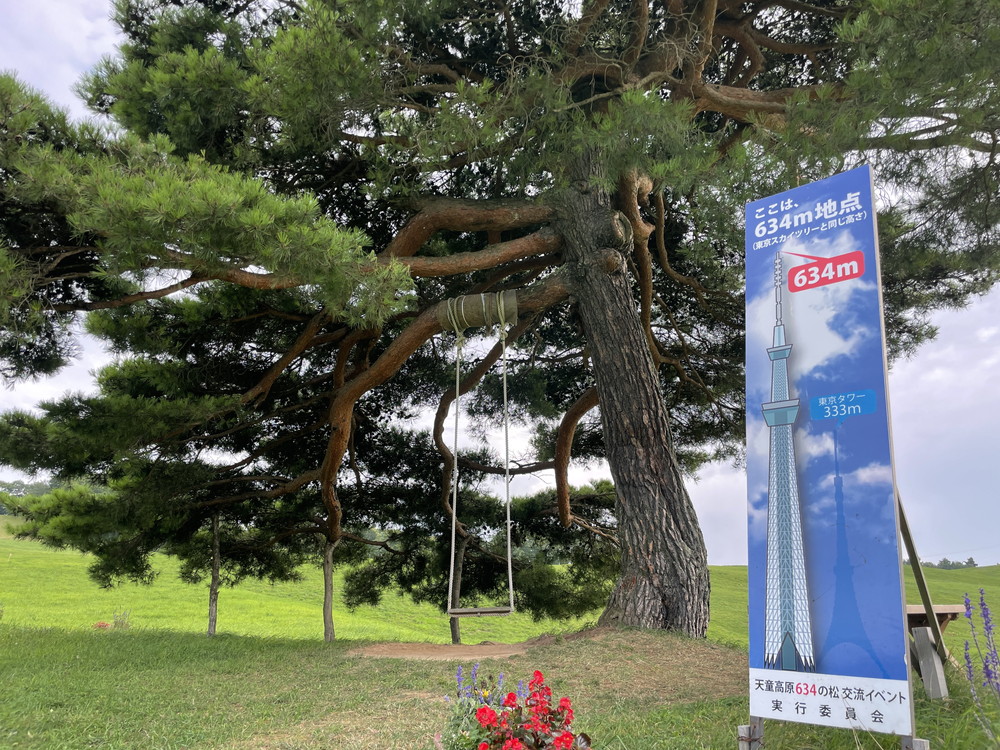 天童高原ファミリーランド-ブランコ1