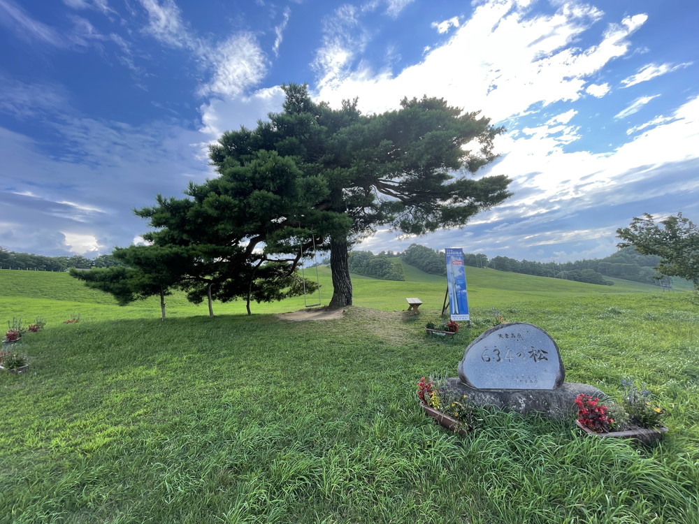 天童高原ファミリーランド-ブランコ4