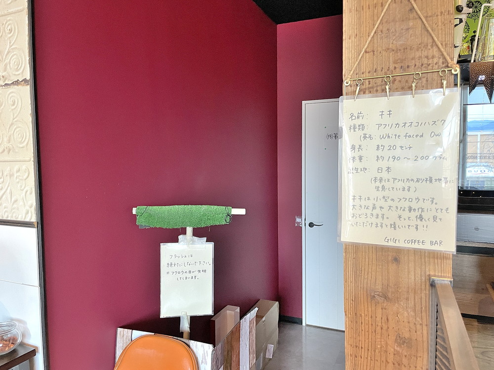 gigi-ふくろうの場所