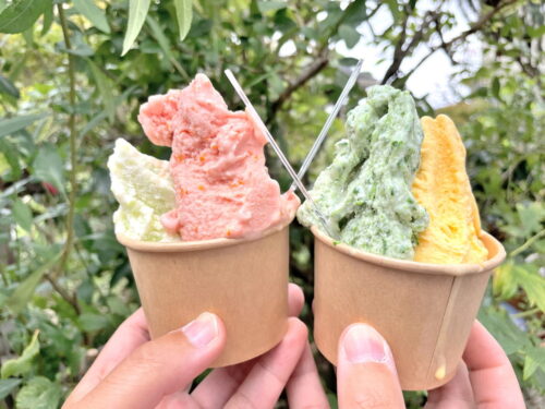 歩農園-ジェラート