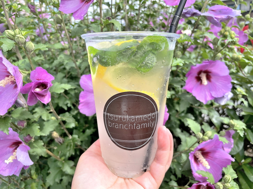 tsurukamedo branch family-食レポ①