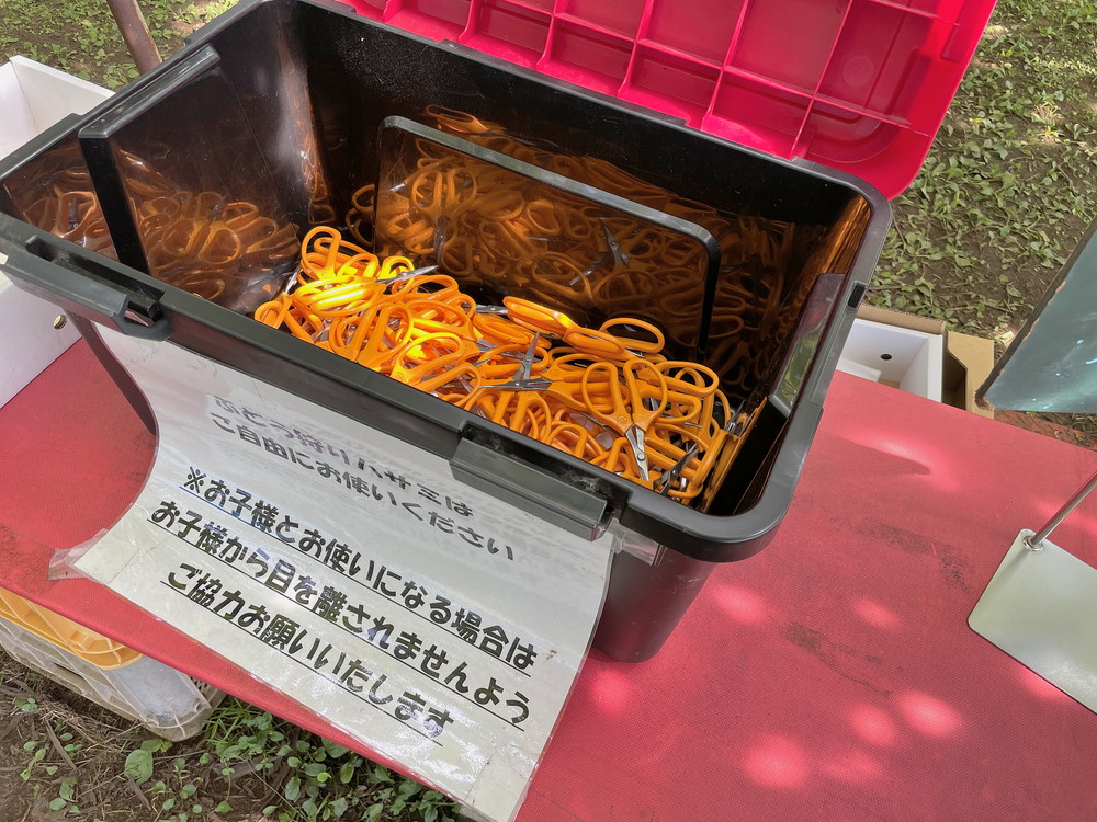 王将果樹園-ぶどう狩り-ぶどう畑受付3