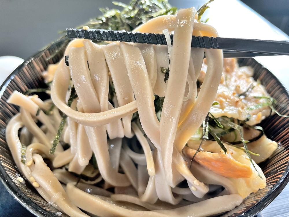 そば処さい藤-豚つけそば③