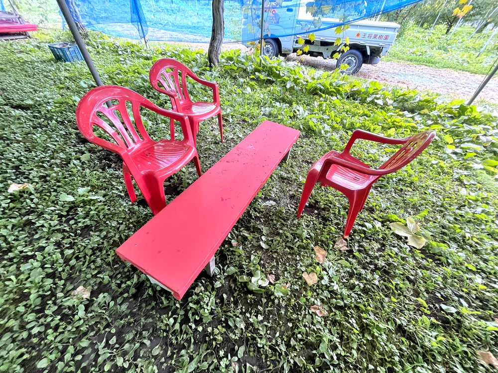 王将果樹園-ぶどう狩り-机