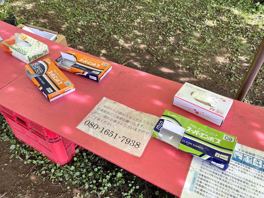 王将果樹園-ぶどう狩り-ぶどう畑受付2